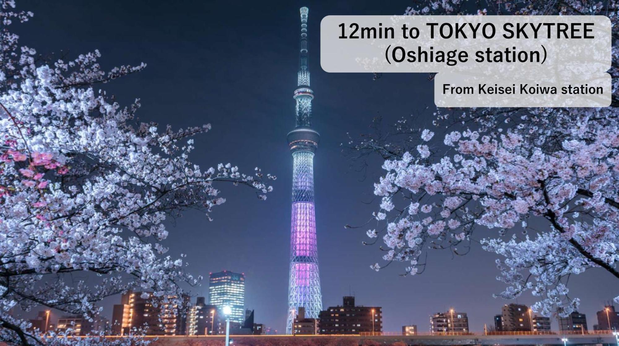 Asahistay -Koiwa, Free Parking O, Whole Family House, Japanese Garden Taste Tokyo Ngoại thất bức ảnh
